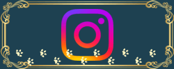 Instagram Logo